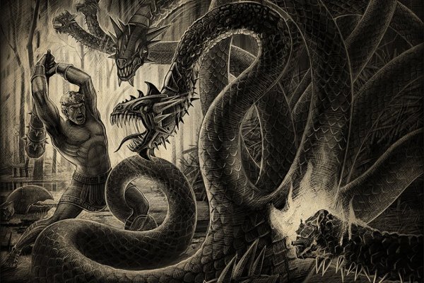 Kraken forum