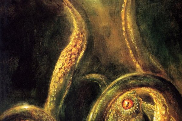 Kraken смылка