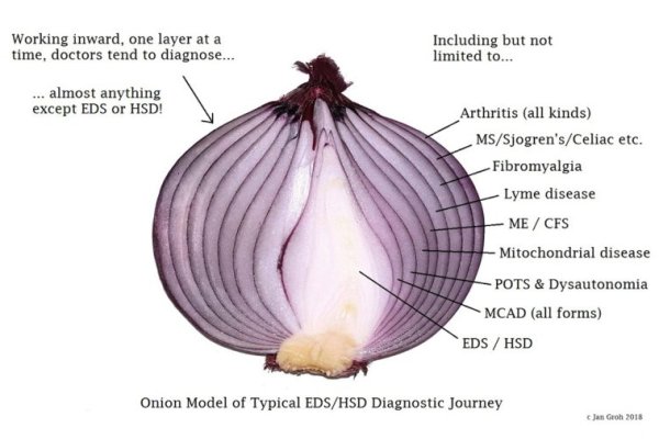 Kraken onion link