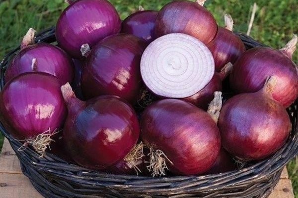 Кракен продает наркотики